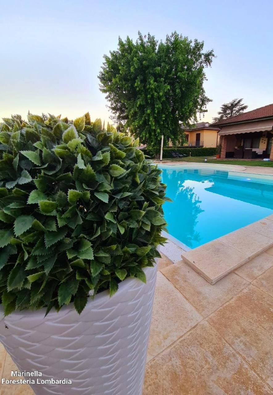 Marinella B&B Cornale Kültér fotó